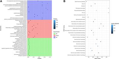 Differentially expressed tRNA-derived fragments in bovine fetuses with assisted reproduction induced congenital overgrowth syndrome